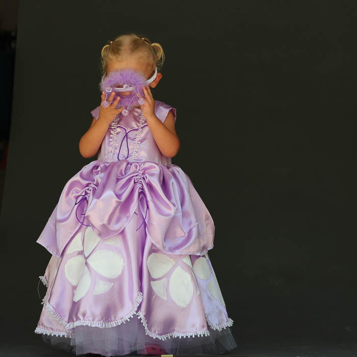 Fallen crown on Inspired by Princess Sofia the First Dress Tutorial - Melly Sews