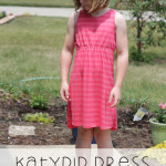 Katydid Dress by ImagineGnats for 30 Days of Sundresses - Melly Sews