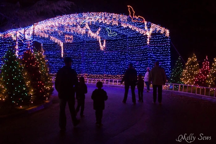 Bat Cave - Austin Notebook - What to wear and see at the Zilker Trail of Lights - Melly Sews