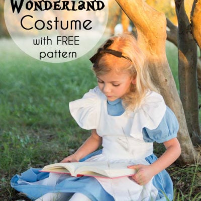 Alice in Wonderland Costume