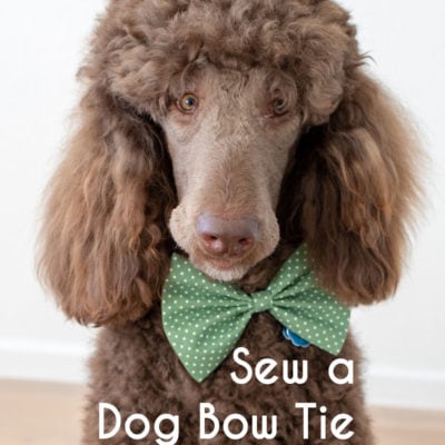 How to Sew a Dog a Bow Tie with a Free Pattern & Video