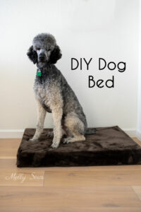 Tricolor poodle sitting on a DIY dog bed with a sewing tutorial