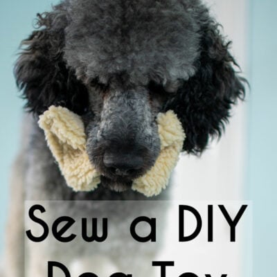 How To Sew Your Own DIY Dog Toy (Easy Scrappy Project!)