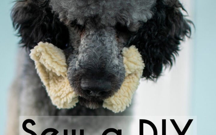 Tutorial to sew a DIY dog toy from fabric scraps