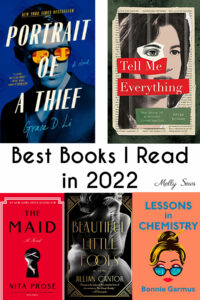 Top 5 Books I read in 2022 - Portrait of a Thief, Tell Me Everything, The Maid, Beautiful Little Fools, Lessons in Chemistry